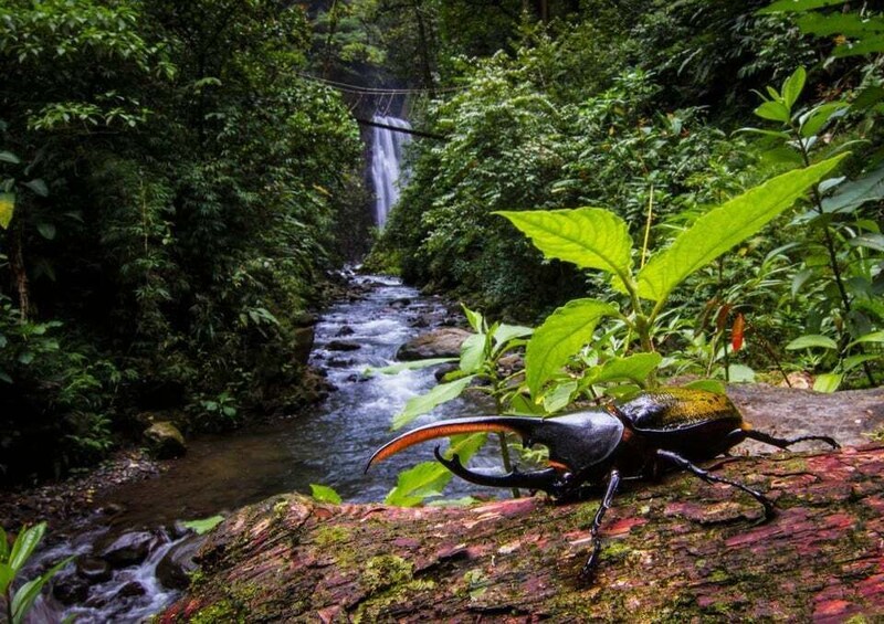 Picture 2 for Activity Monteverde: Waterfalls, Wild Trekking and Horseback Riding