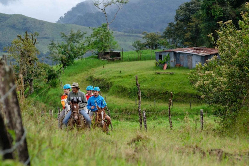 Picture 8 for Activity Monteverde: Waterfalls, Wild Trekking and Horseback Riding