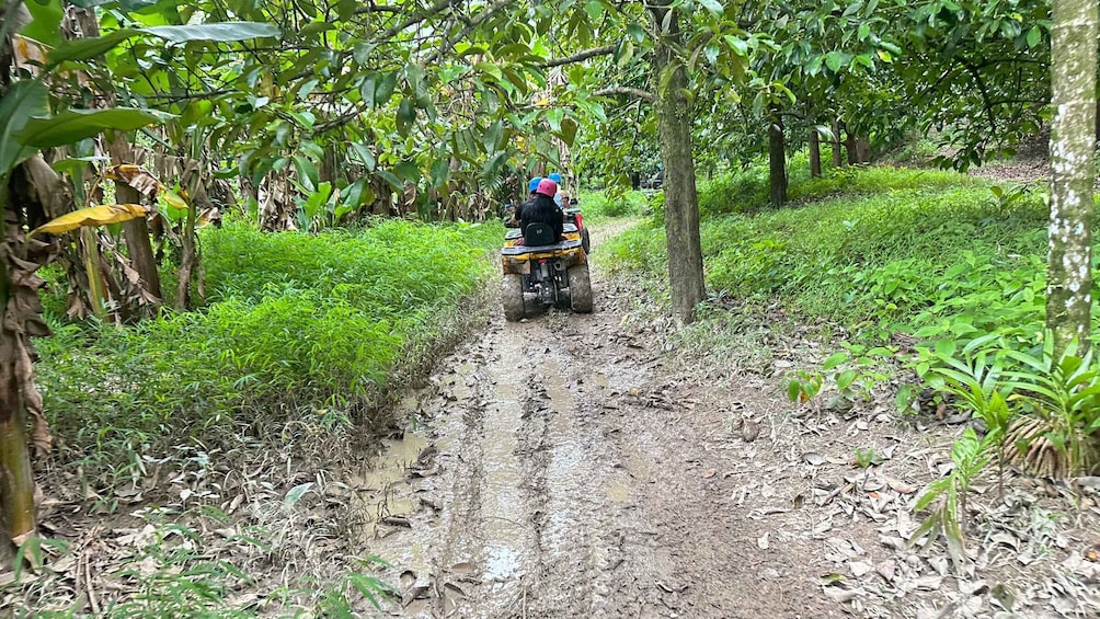 Picture 3 for Activity Khao Lak ATV Quadbike Adventure Experience