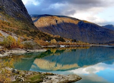 Flåm Flexible Tour with Stegastein, cruise and train include