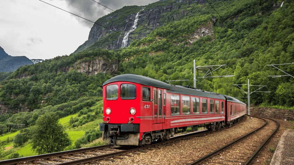 Picture 9 for Activity Flåm Flexible Tour with Stegastein, cruise and train include