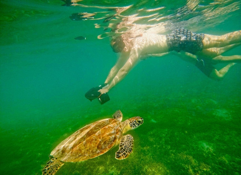 San Juan: Jet Snorkeling Adventure with Sea Turtle Spotting