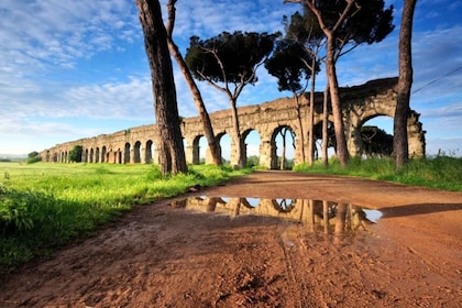 The ancient aqueducts of Rome