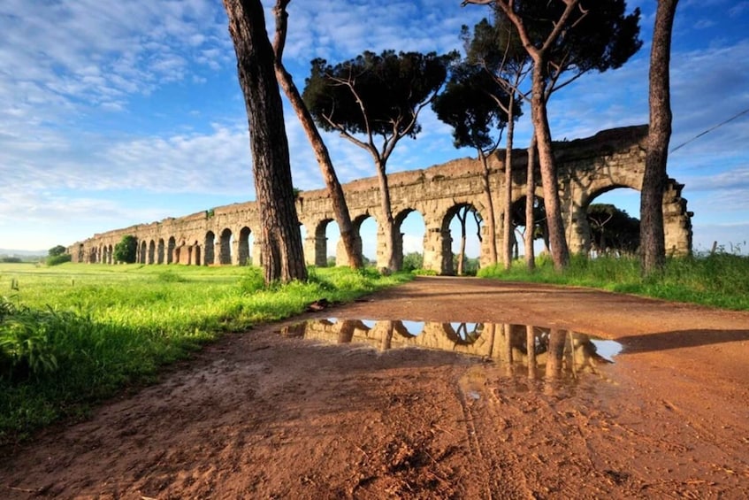 The ancient aqueducts of Rome