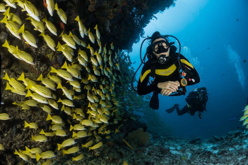 DSD Discover Scuba Diving for a beginner or Certified