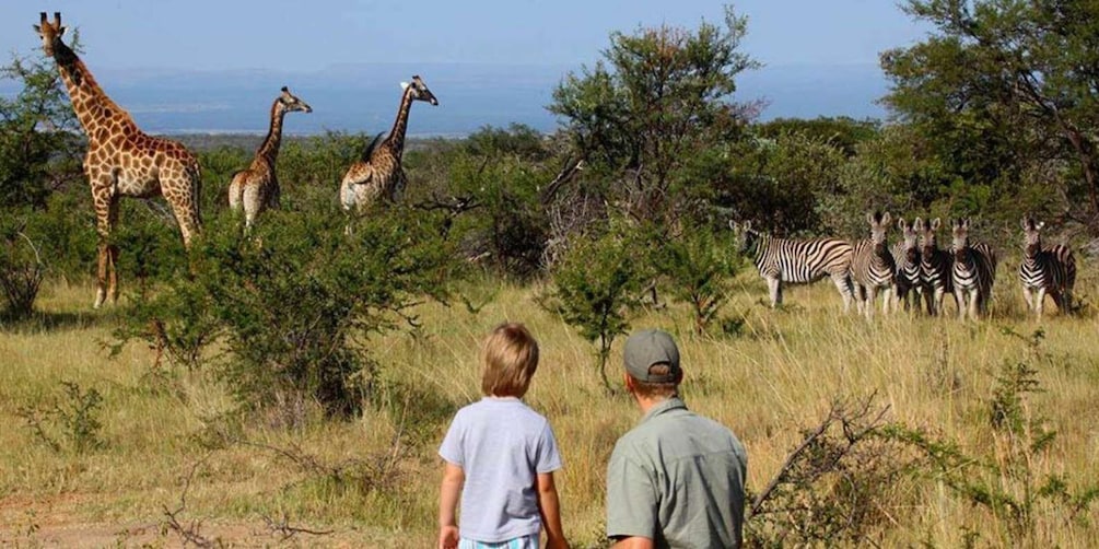 Full Day Isimangaliso Wetlands Park Tour from Durban