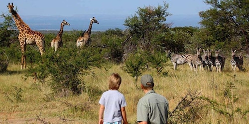 Full Day Isimangaliso Wetlands Park Tour from Durban