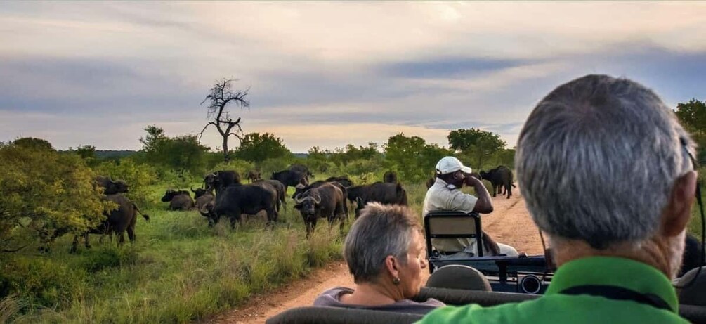 Picture 3 for Activity Full Day Isimangaliso Wetlands Park Tour from Durban