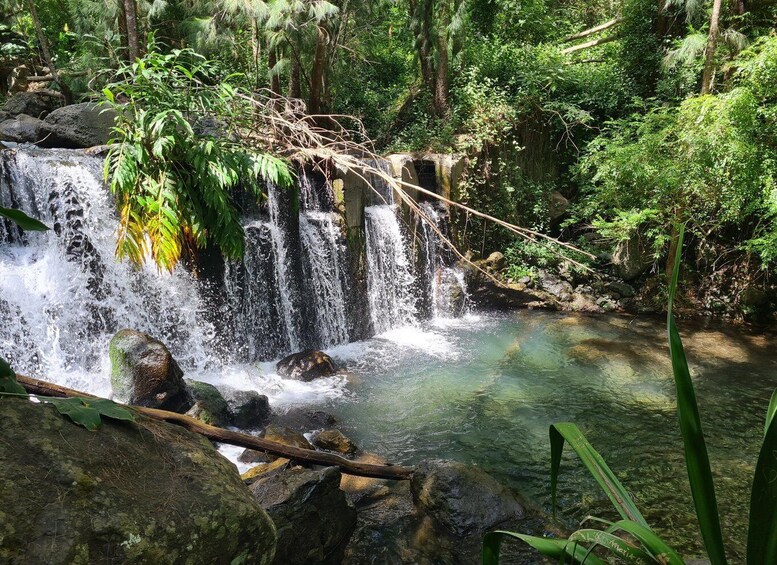 Picture 2 for Activity Private and guided day tour of Réunion