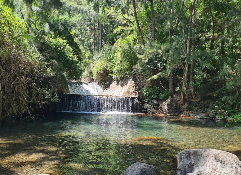 Picture 1 for Activity Private and guided day tour of Réunion