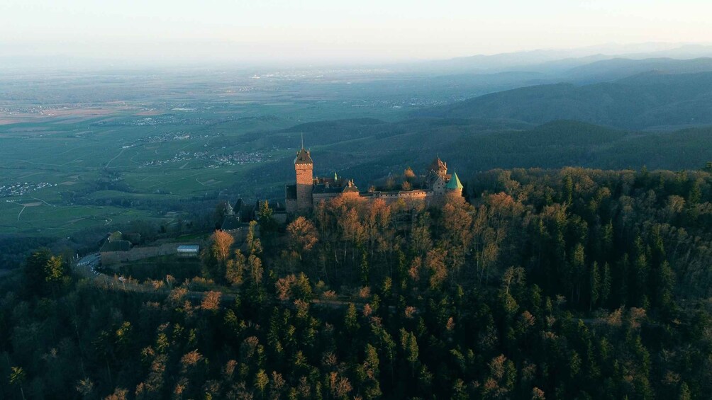 Picture 7 for Activity Strasbourg, Colmar, Eguisheim, Riquewihr : Excursion privée