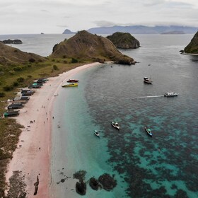 Komodo Island Tour 2Days 1Night