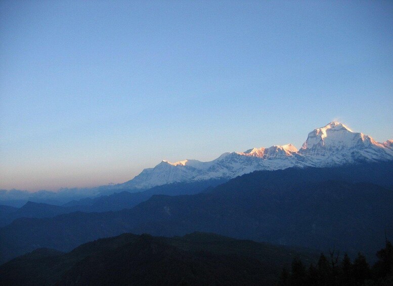 Picture 9 for Activity Ghorepani Poonhill Trek