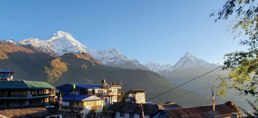 Picture 1 for Activity Ghorepani Poonhill Trek