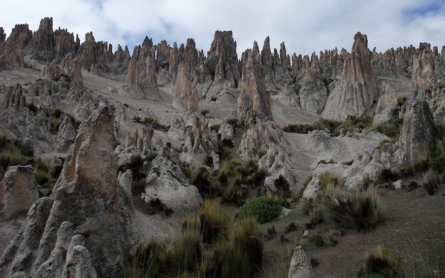 Picture 6 for Activity From Arequipa|| Excursion to Pillones Waterfalls ||Full Day