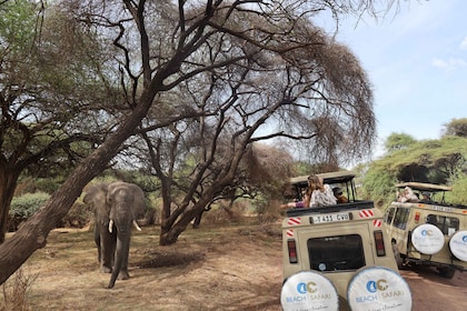 Desde Arusha: safari de 9 días en varios parques con alojamiento