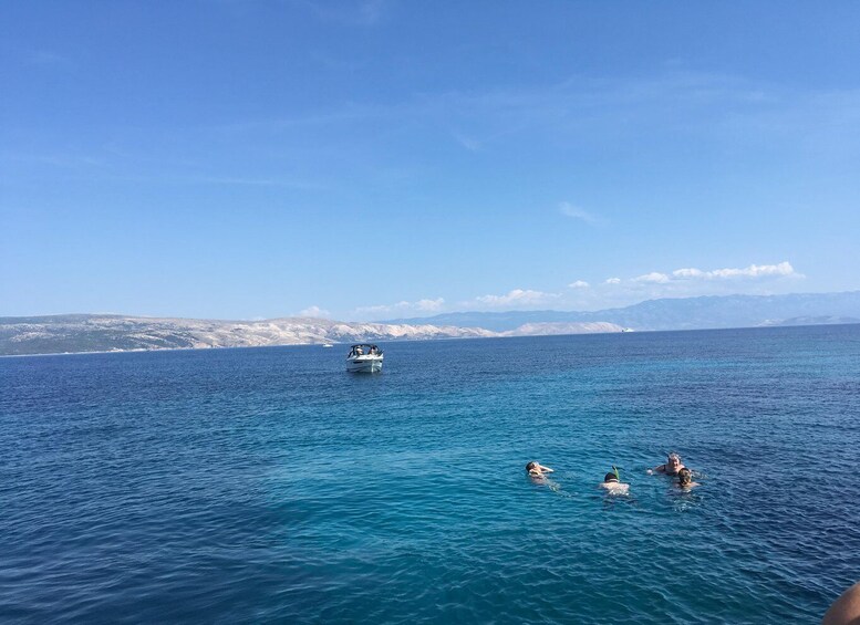 Picture 16 for Activity Plavnik Island: Swim and Snorkel with Captain Bobo (5,5h)