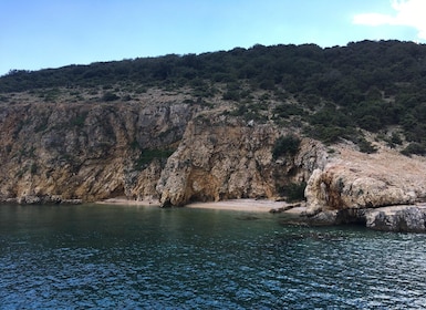 5,5h Plavnik Island: Swim & Snorkel with Capt. Bobo (Public)