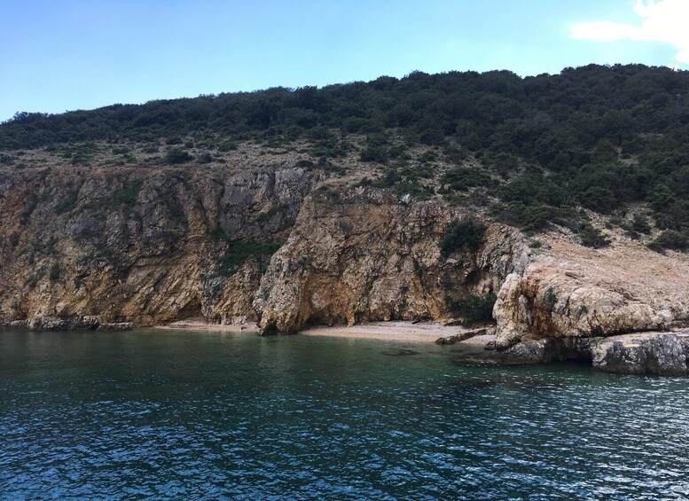 Plavnik Island: Swim and Snorkel with Captain Bobo (5,5h)