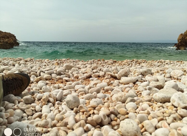 Picture 18 for Activity Plavnik Island: Swim and Snorkel with Captain Bobo (5,5h)