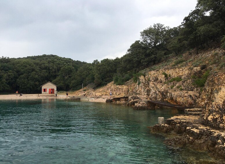 Picture 6 for Activity Plavnik Island: Swim and Snorkel with Captain Bobo (5,5h)
