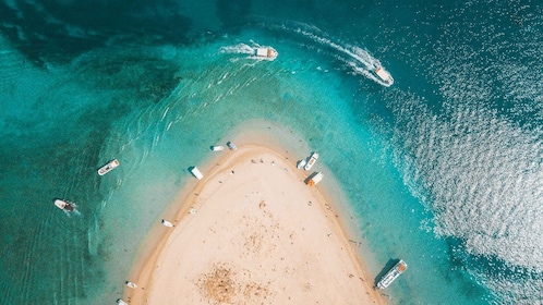 Zakynthos: Laganas Marine Park Speedboat Tour with Swimming