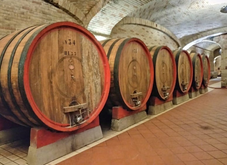 Picture 2 for Activity From Cagliari: Wine Cellar Tour with Tastings