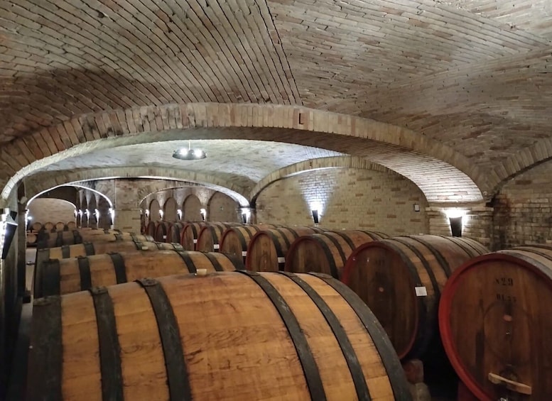 Picture 1 for Activity From Cagliari: Wine Cellar Tour with Tastings