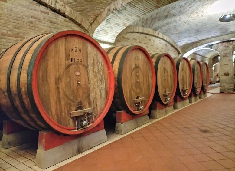 Picture 2 for Activity From Cagliari: Wine Cellar Tour with Tastings