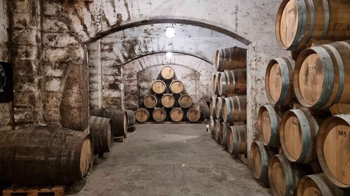 Palma: Distillery Tour with 3 Spirits and Tapas Tasting