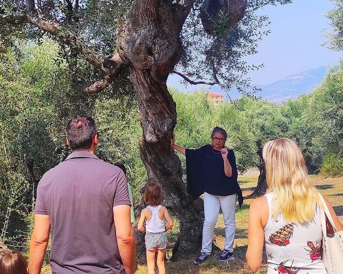 Picture 2 for Activity Cilento Olive Experience