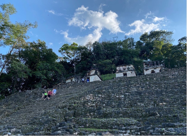 Picture 8 for Activity Archaeological Zones Yaxchilan & Bonampak