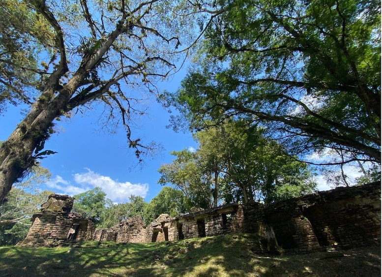 Picture 2 for Activity Archaeological Zones Yaxchilan & Bonampak