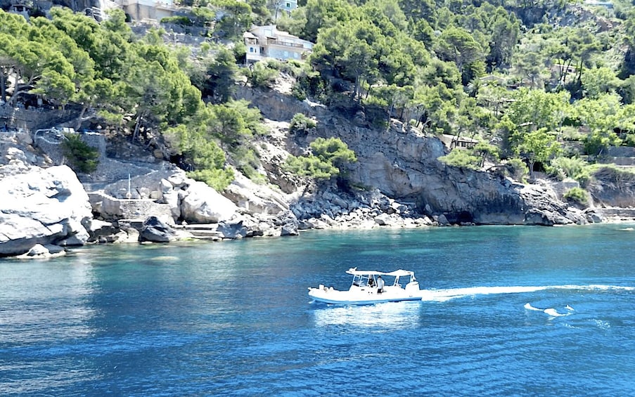 Picture 3 for Activity Soller: Private boat tour with skipper