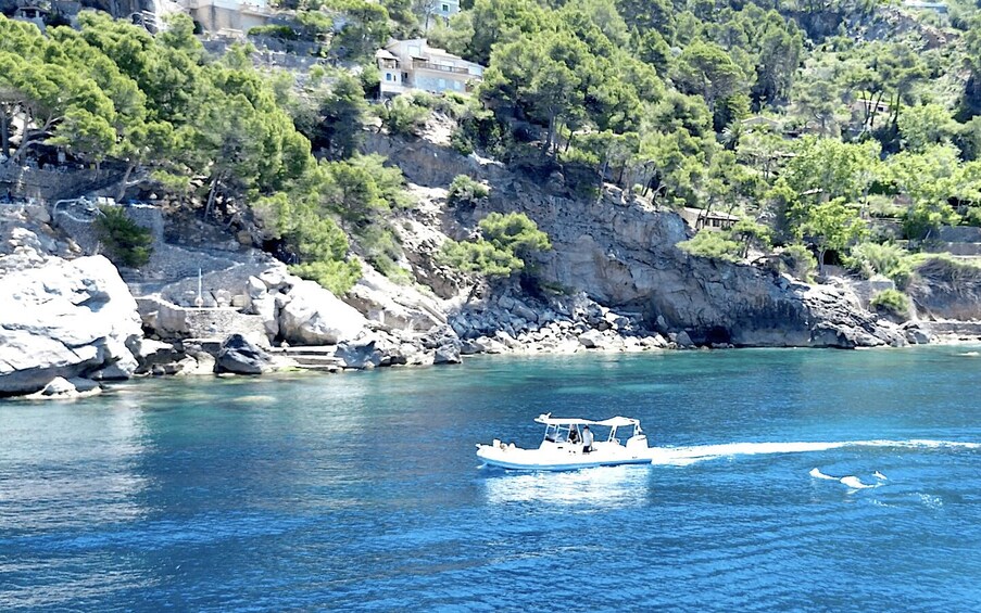 Picture 3 for Activity Soller: Private boat tour with skipper