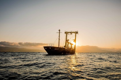 Kissamos: Sunset Kayak Tour to shipwreck & exclusive beach