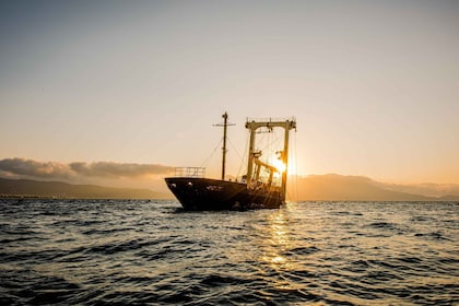 Kissamos: Sunset Kayak Tour to Shipwreck & Exclusive Beach