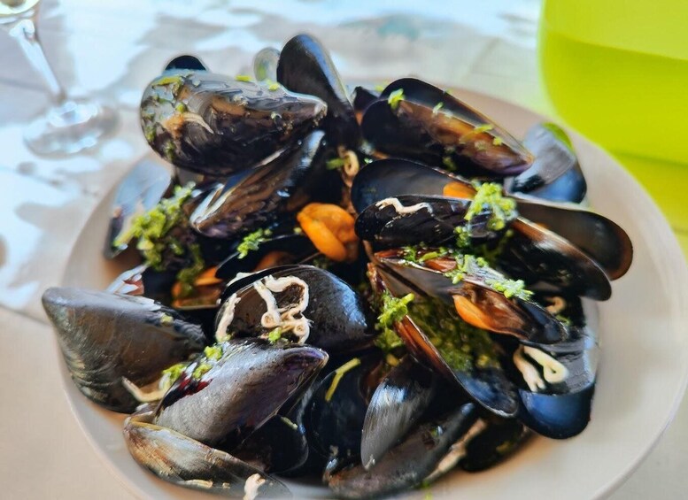 Farm Oysters and Mussels ( Perast and Lady of the rocks )