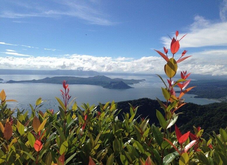 Picture 1 for Activity From Manila: Taal Volcano and Lake Boat Sightseeing Tour