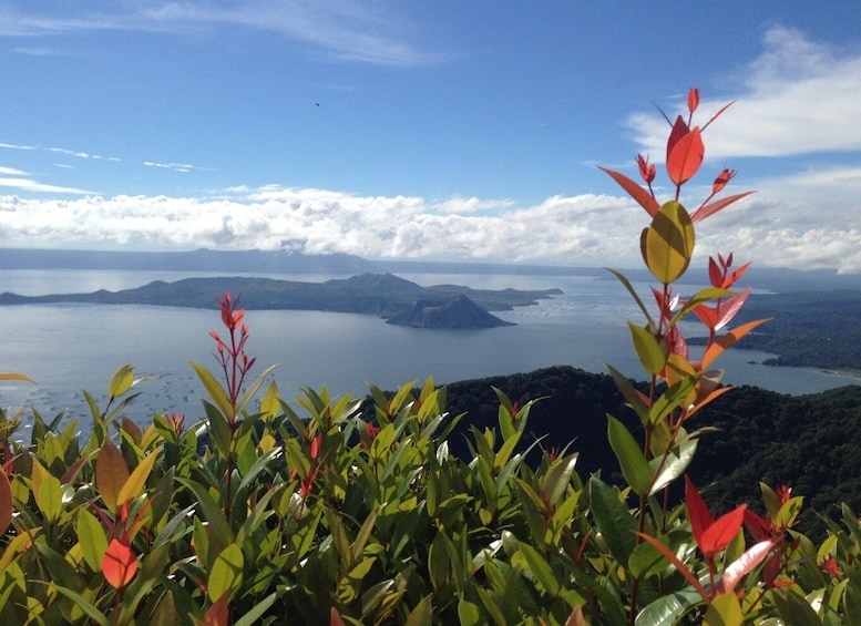 Picture 1 for Activity From Manila: Taal Volcano and Lake Boat Sightseeing Tour