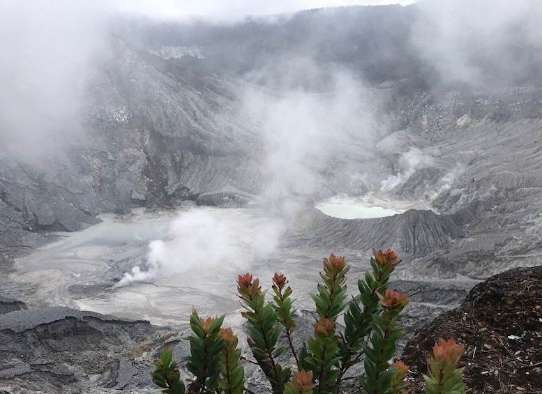 Jakarta: Volcano, Tea/Rice Fields, Hot Spring, Local Food