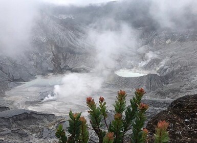 Jakarta: Volcano, Tea/Rice Fields, Hot Spring, Local Food