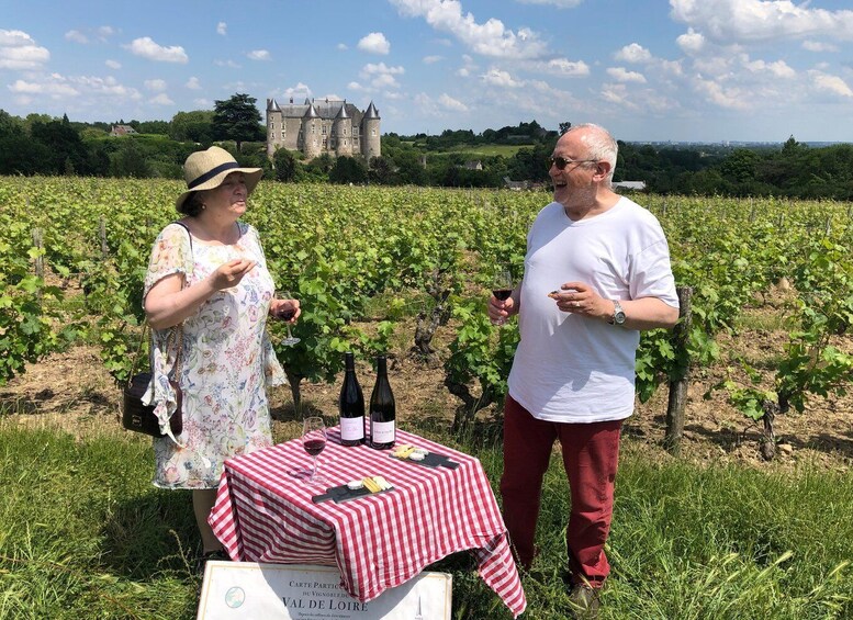 Picture 6 for Activity Afternoon- Wine tour in Touraine from Tours or Amboise