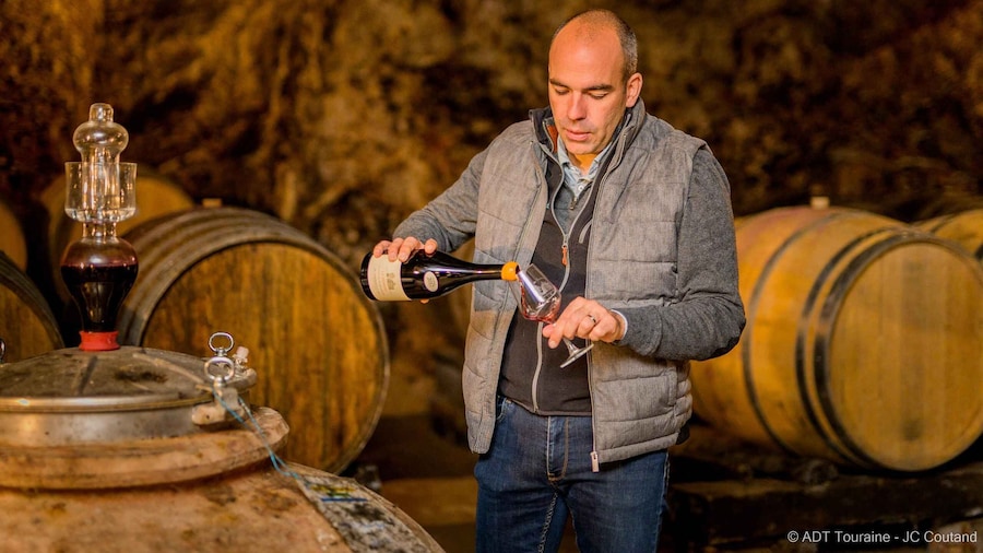 Picture 2 for Activity Afternoon- Wine tour in Touraine from Tours or Amboise