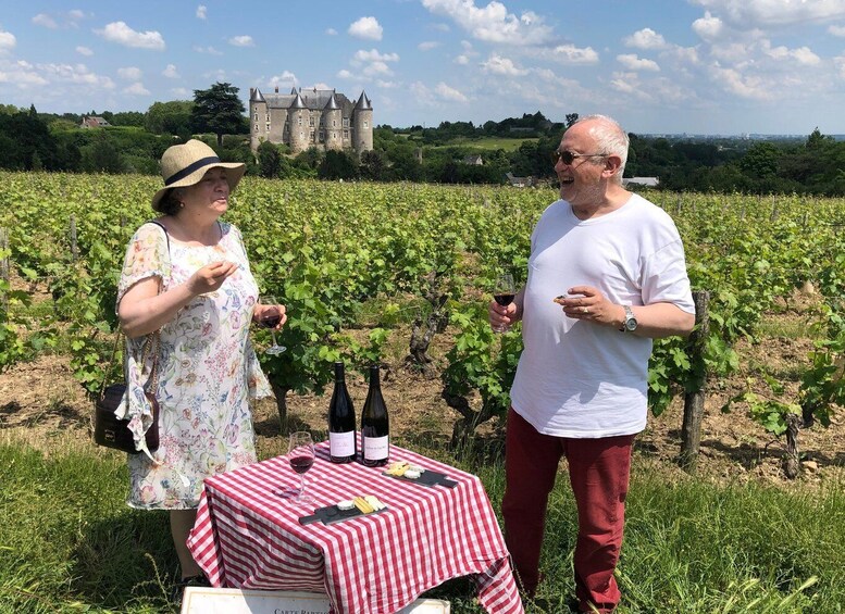 Picture 6 for Activity Afternoon- Wine tour in Touraine from Tours or Amboise