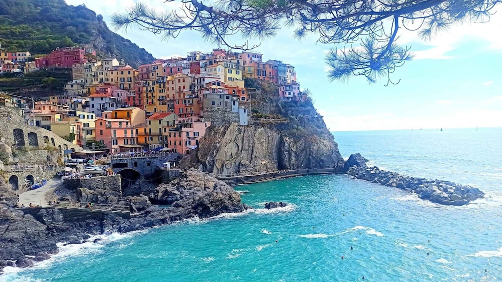 Picture 5 for Activity "Visit Wonderland Cinque Terre" in one day