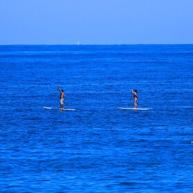 Paddle Board