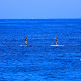 Paddle Board