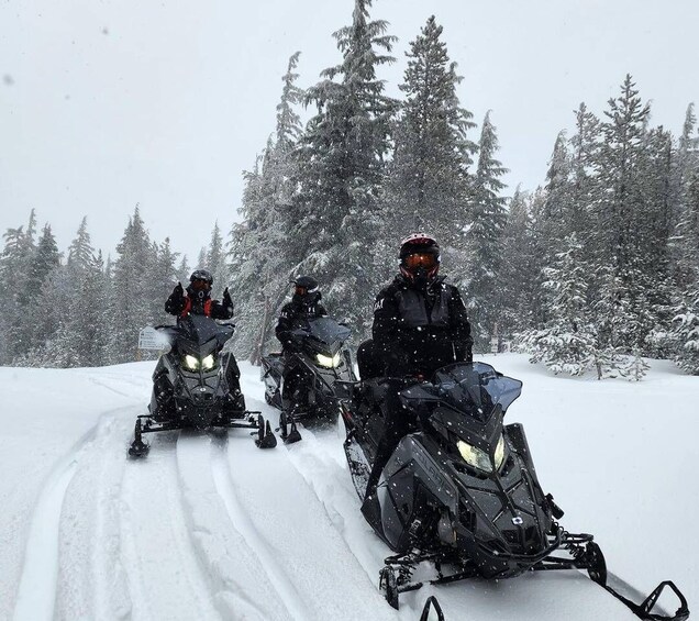 Picture 4 for Activity Bend: Guided Snowmobile Tours In National Volcanic Monument