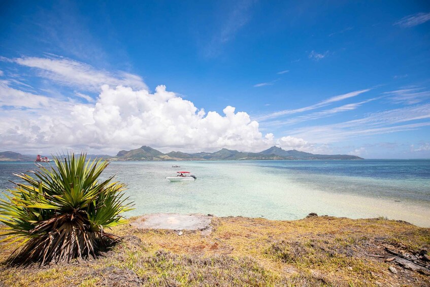 Picture 12 for Activity Mauritius: Half-Day Private Speedboat Tour from Blue Bay